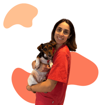 Mobile vet visiting a pet at home in London